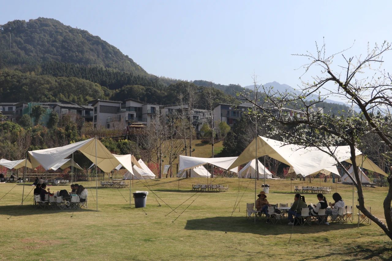 1680582665049.jpg 1680582665049.jpg